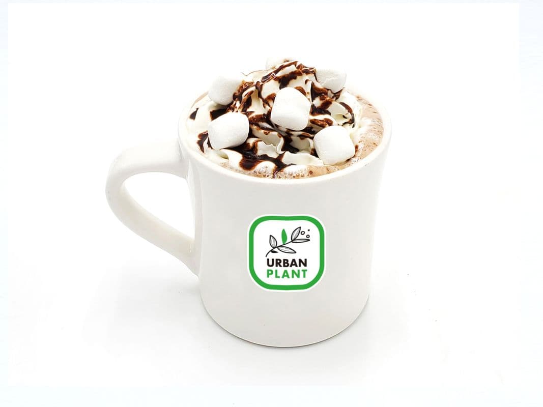 Iced Choco Latte