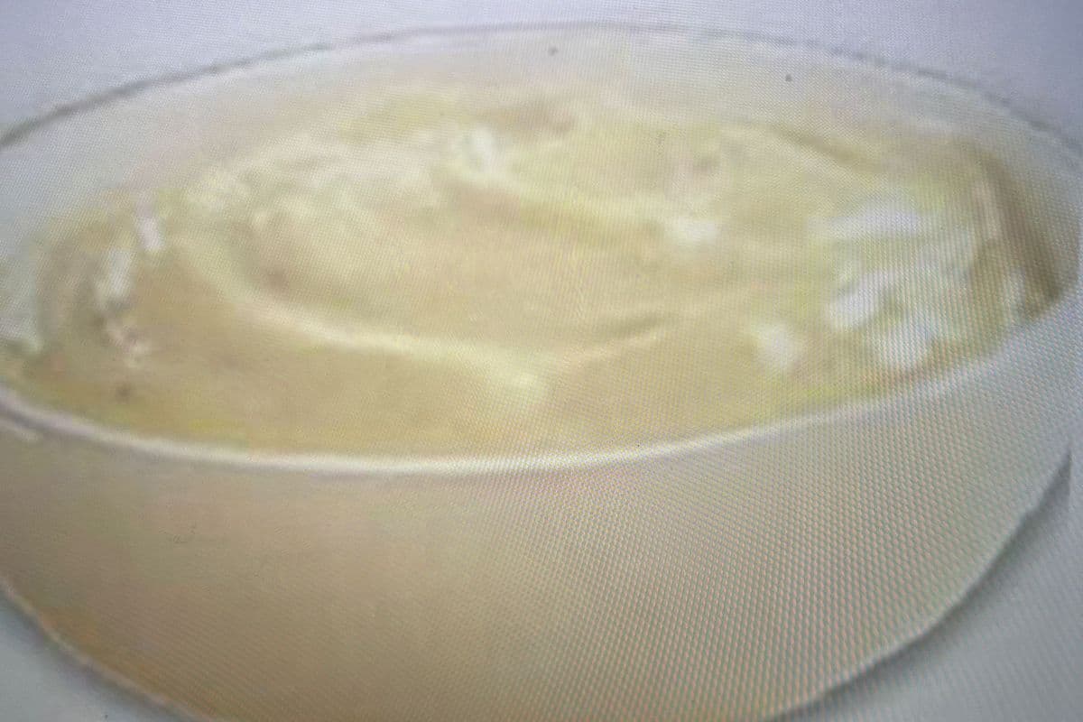Sauce à l'ail