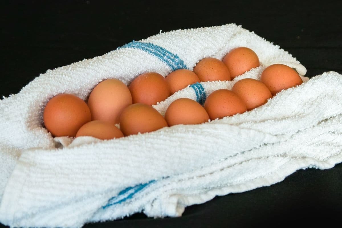 Eggs (Dozen)