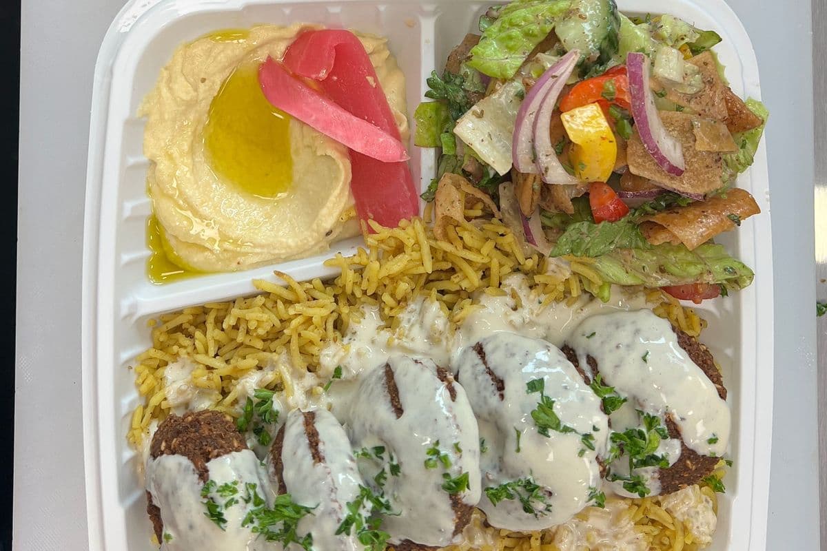 Falafal Platter