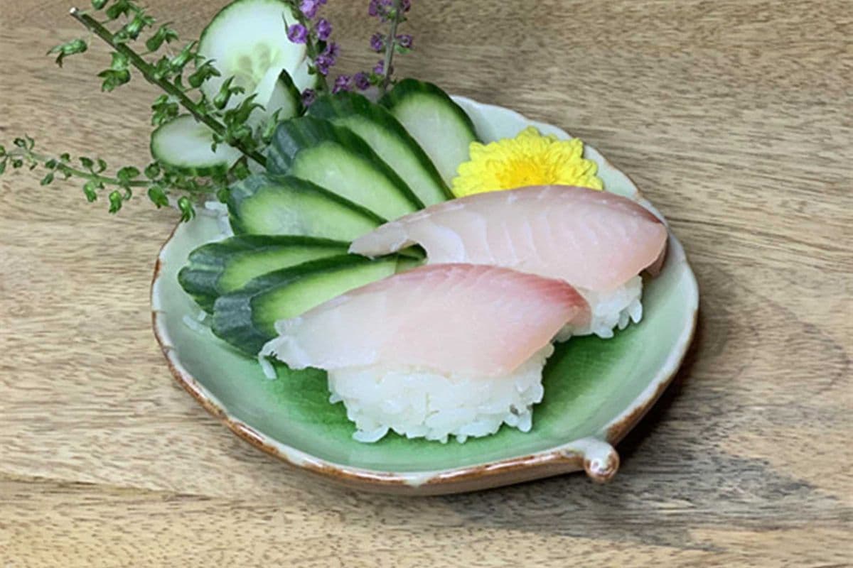 005 Snapper (1 pc)