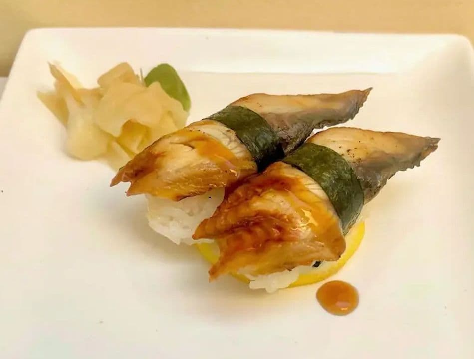 Anguille / Eel