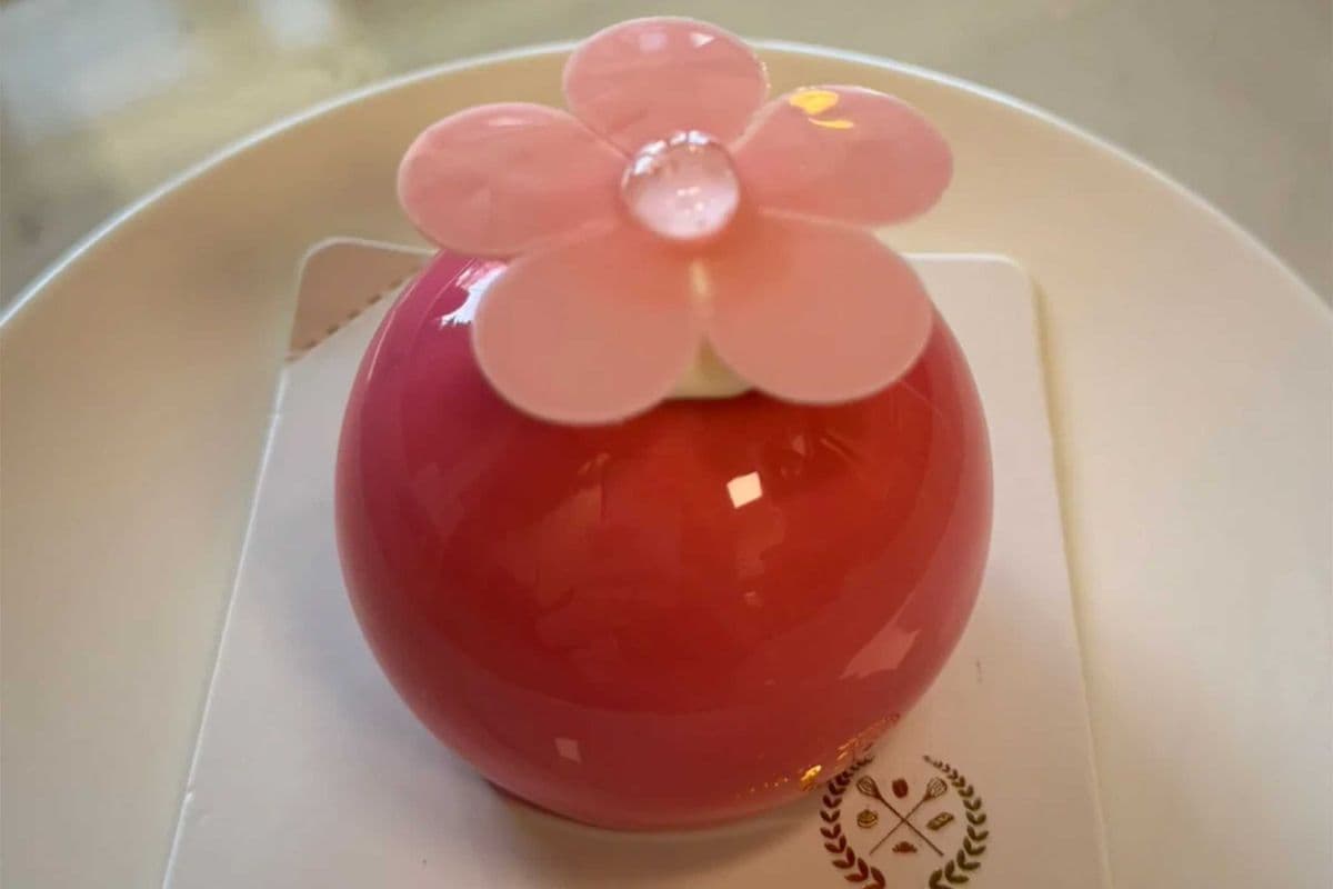 Orange Oolong Cheesecake