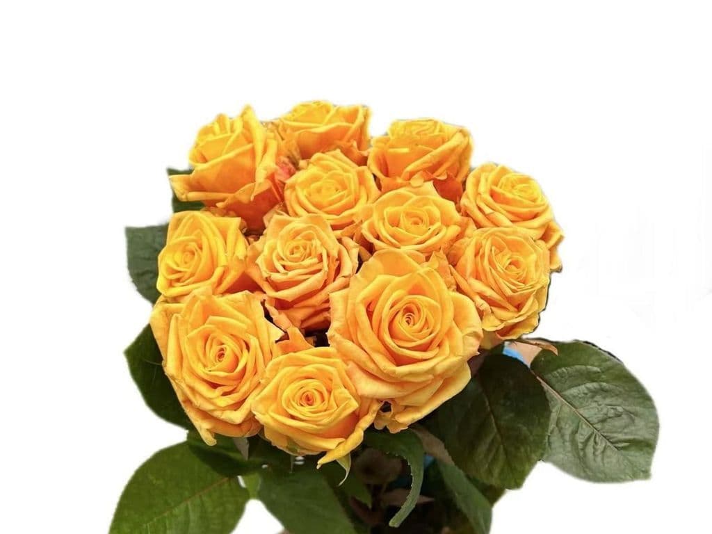 Local Flowers - Rose yellow & orange bouquet (12 stems)
