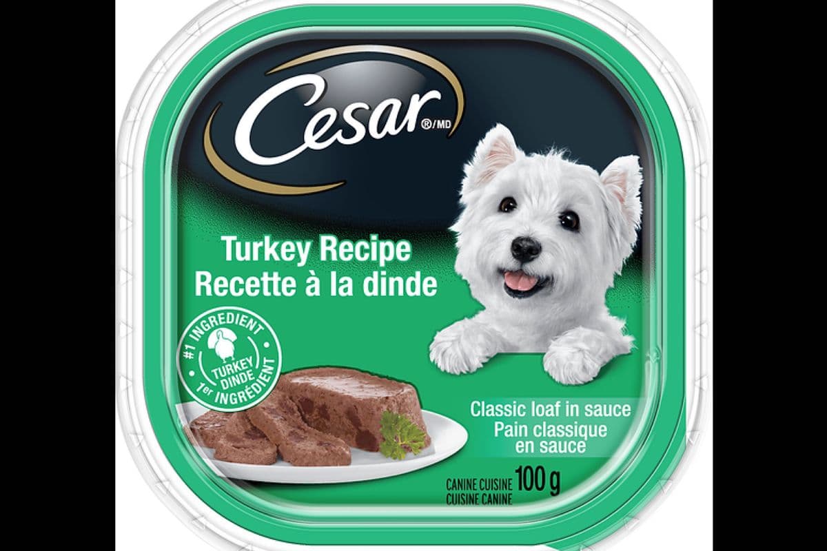 Cesar - Recette à la Dinde / Turkey Recipe (100 g)