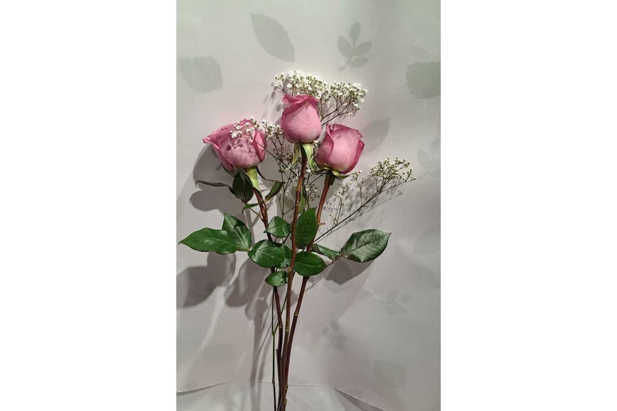 3 Pink/Yellow/White/Purple/Mix Roses with Baby Breath (50 cms stems)