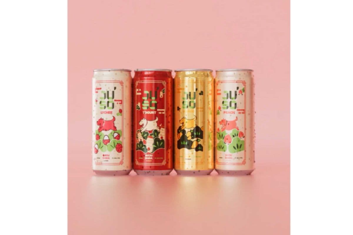 Ju'So Chill Pack – Soju Soda Variety Pack (4 x 355ml Cans) (4 x 355ml)