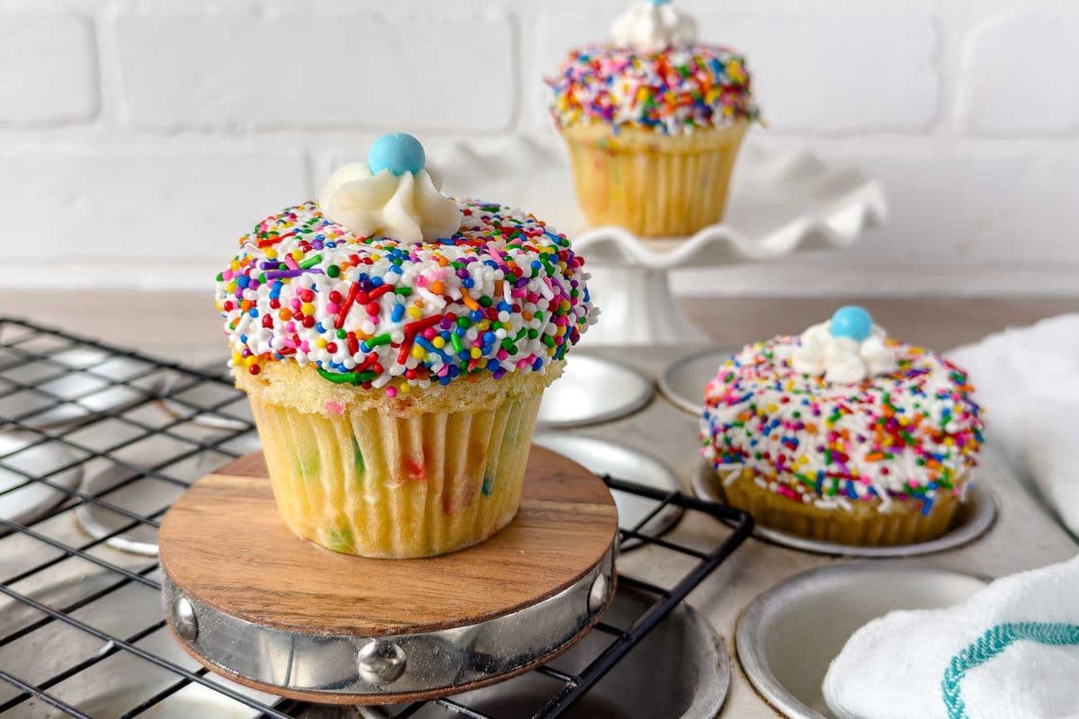 Rainbow Sprinkle Cupcake