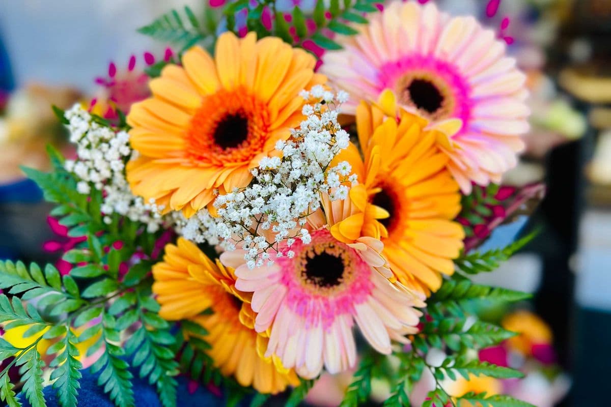 Rainbow Gerbera Bouquet