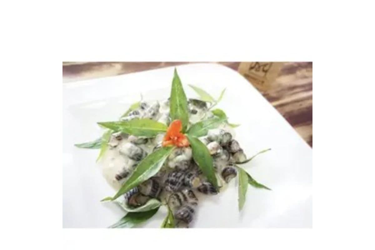 #.Escargot with Coconut -椰子炒蝸牛-ỐC LEN XÀO DỪA