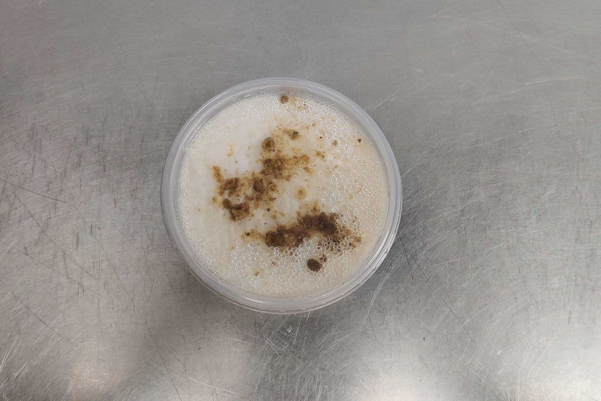 Rice Pudding