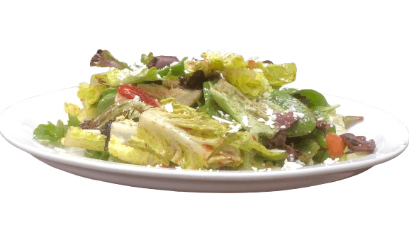 PASTA POLO SALAD