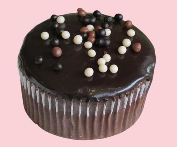 Chocolate Fudge Cupcake