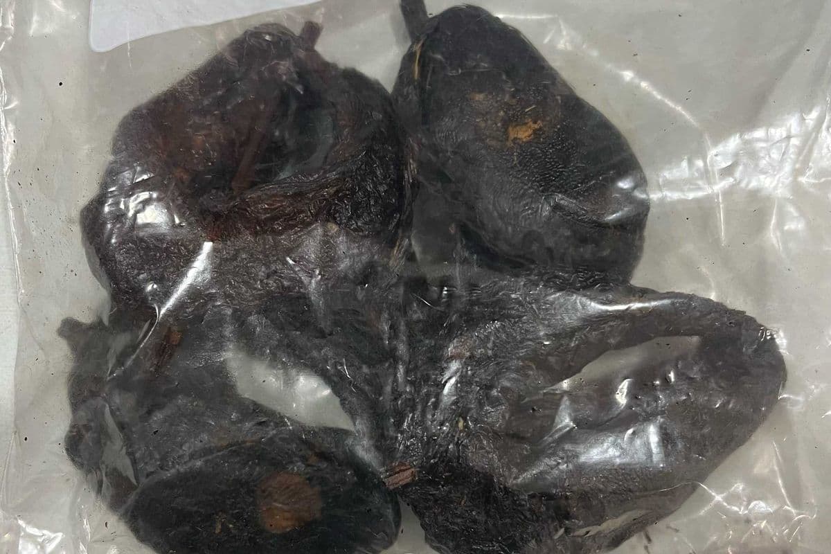 Smoked Catfish (Packed)