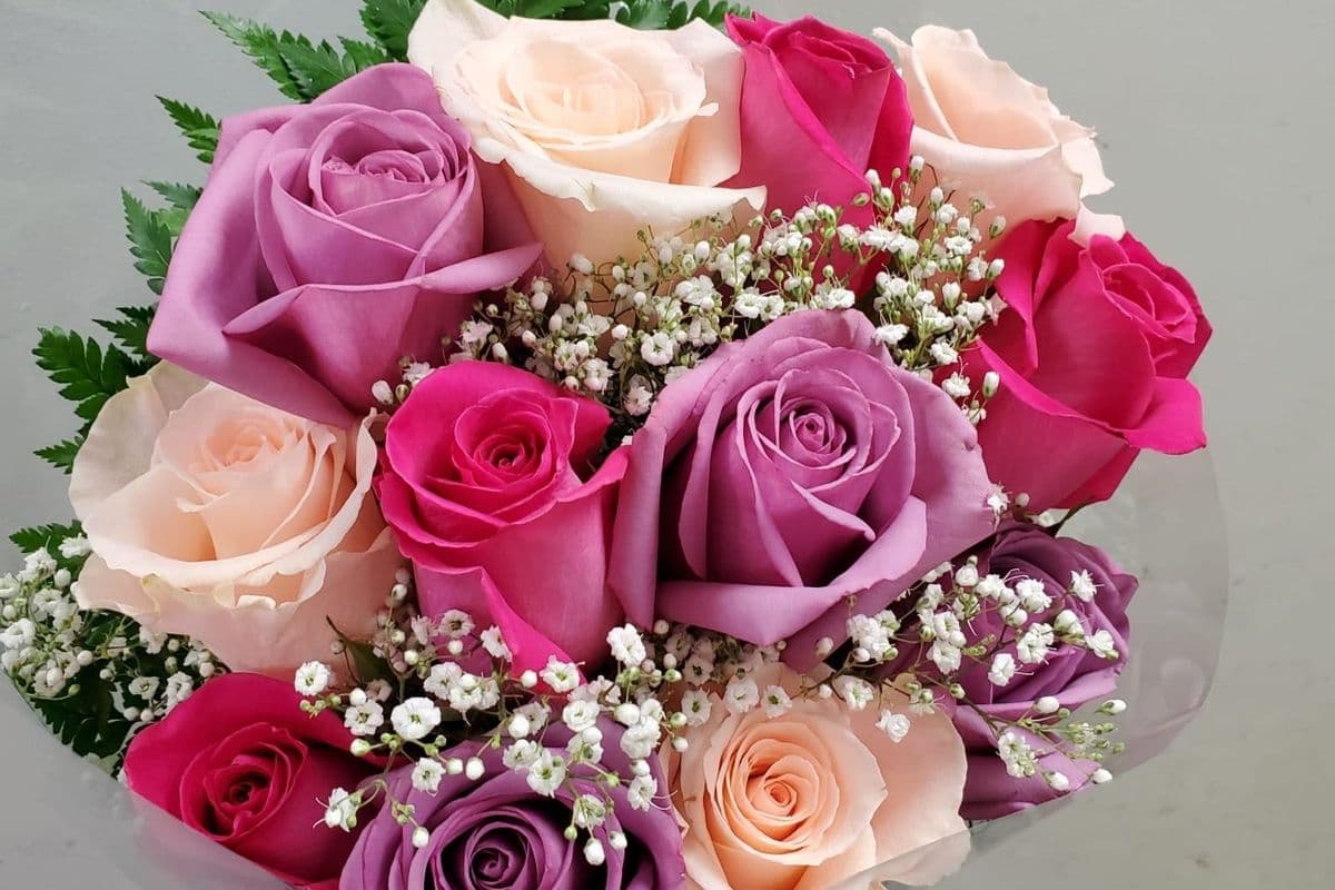 One Dozen Mixed Color Roses