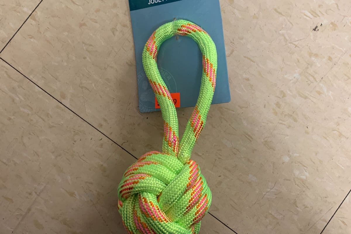 Dog Toy