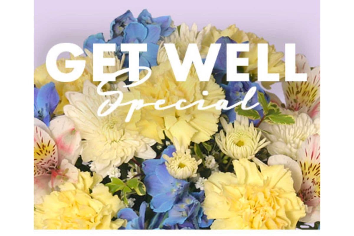 Get Well Special Designer's Choice