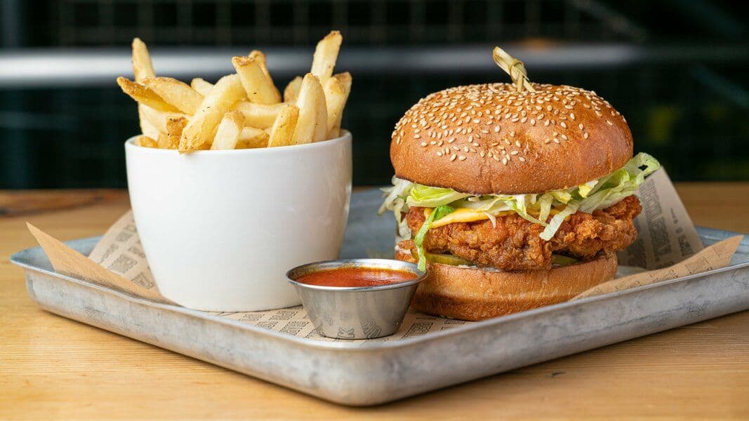 Southern Fried Chicken Sandwich & Fries