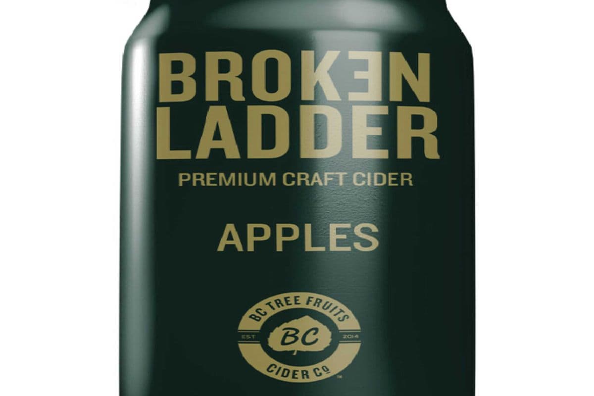 BROKEN LADDER APPLES CIDER CAN (1 x 6*355ML )