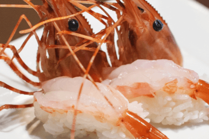 148. Amaebi Nigiri (1 pc)