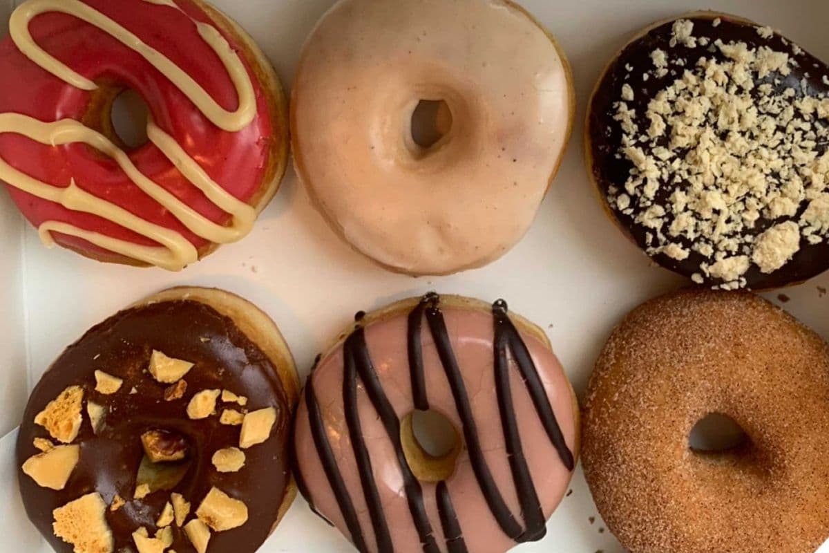 6 Regular Doughnuts