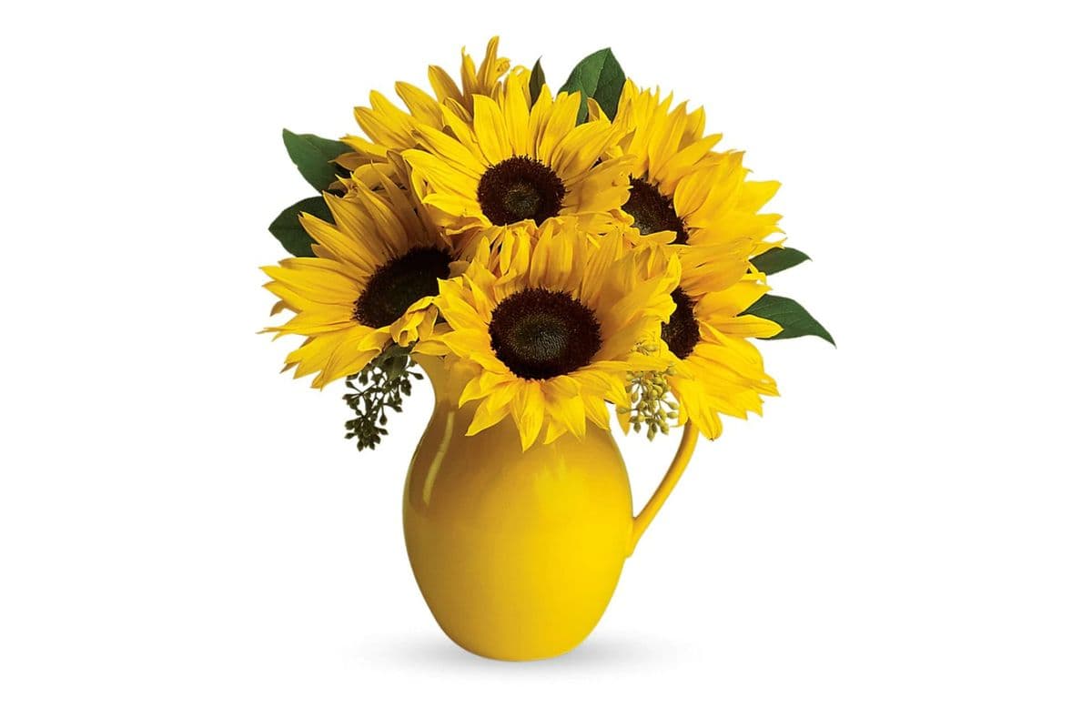 Teleflora's Sunny Day Pitcher of Sunflowers