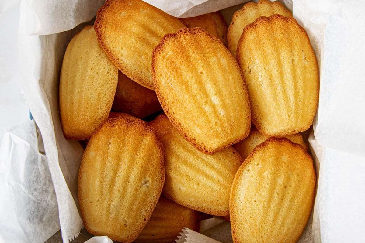 Madeleine (1 pc)