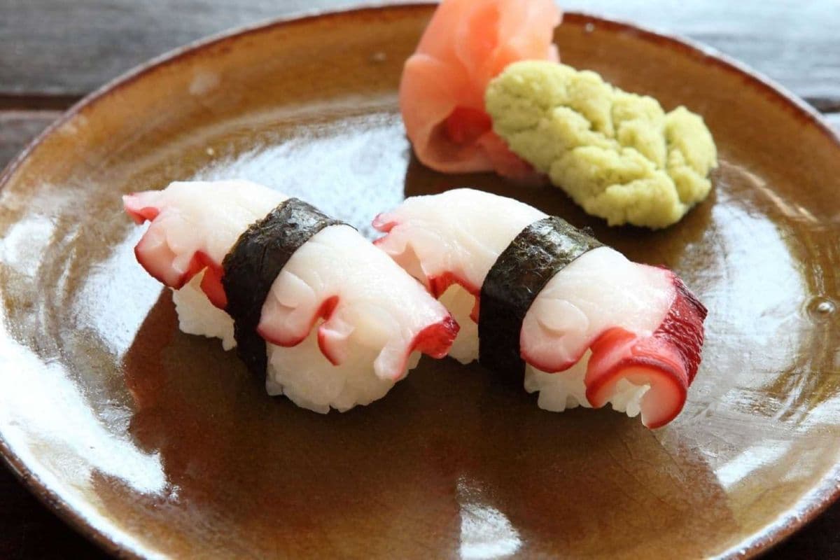 Octopus (Tako)