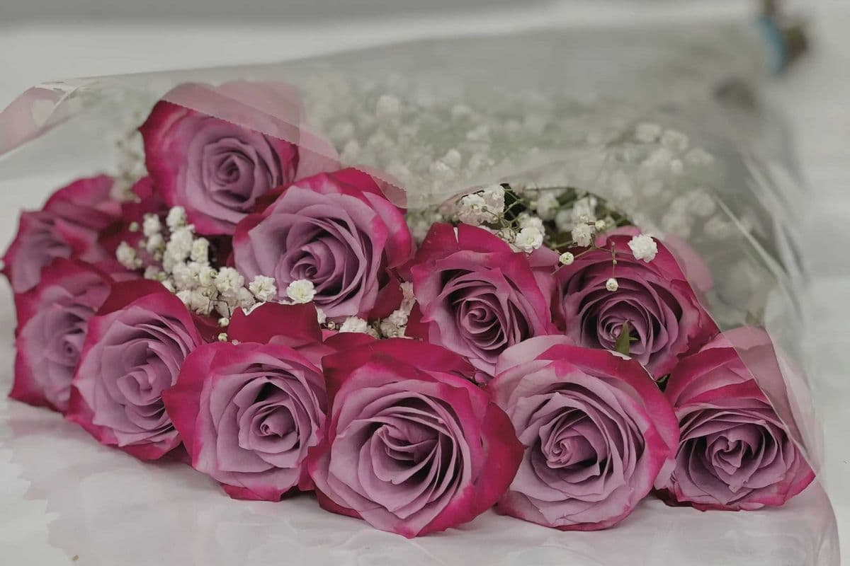 One Dozen Purple-Pink Roses