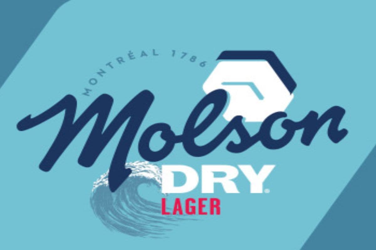 Molson Dry (15 Cans) (1 x 355ML)