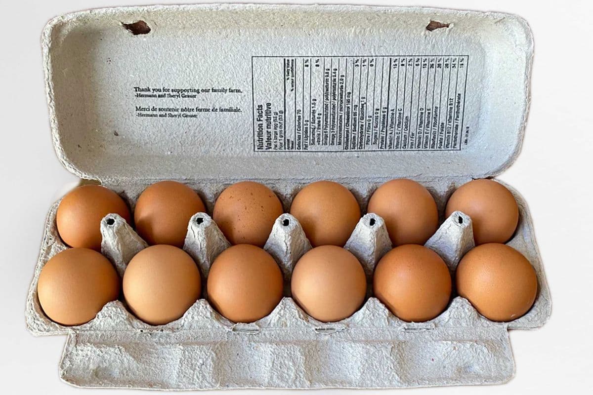 Brown Egg - Large