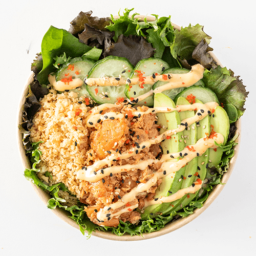 POKÉ DUO DE SAUMON / SALMON DUO POKE