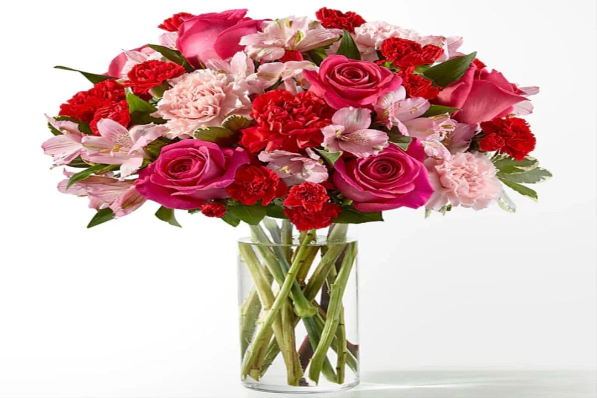 You're Adored