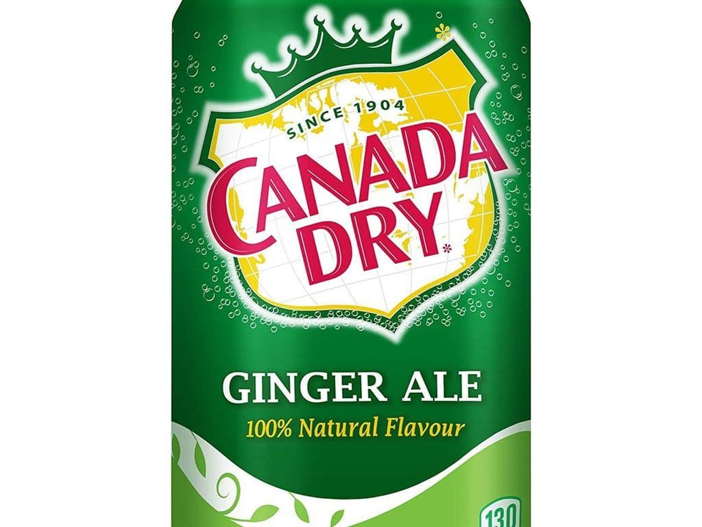 Ginger Ale (355ML) 