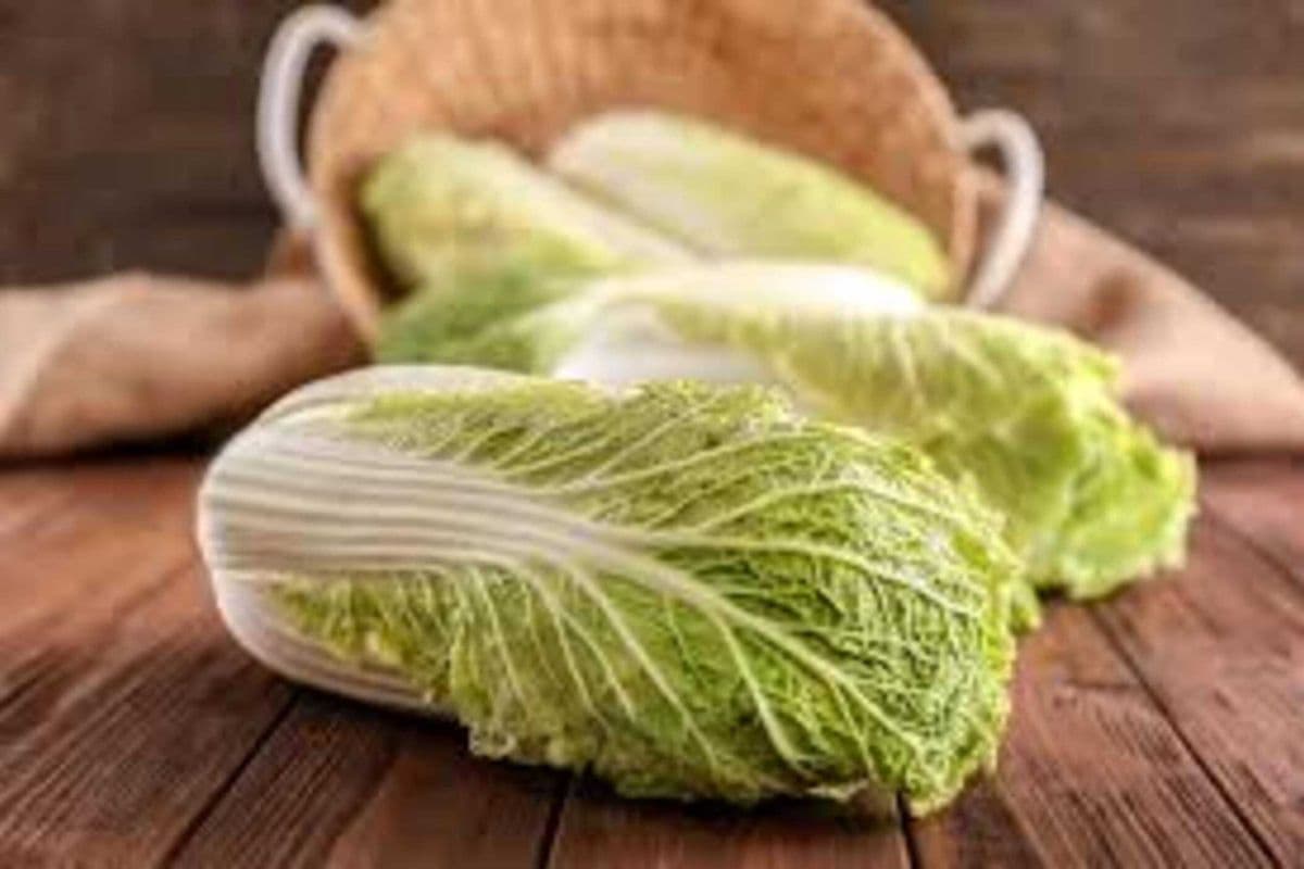 Cabbage (6 pcs)/ 大白菜