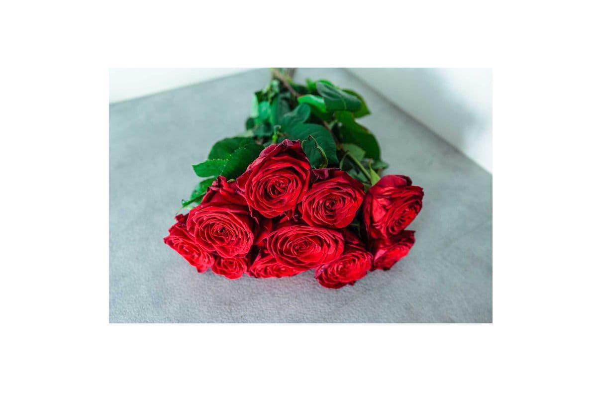 24 Hand-Tied Red Roses