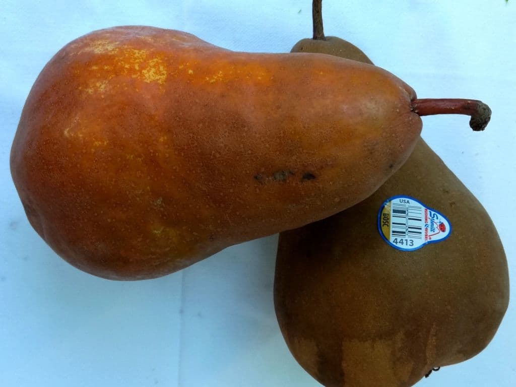 Bosc Pear (3 pcs)