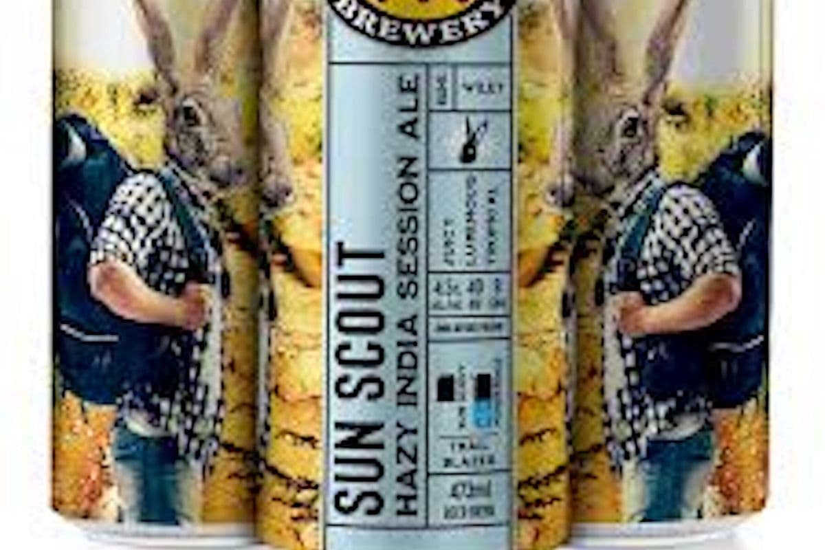 Wild Rose Sun Scout Hazy IPA (4 x 473mL)