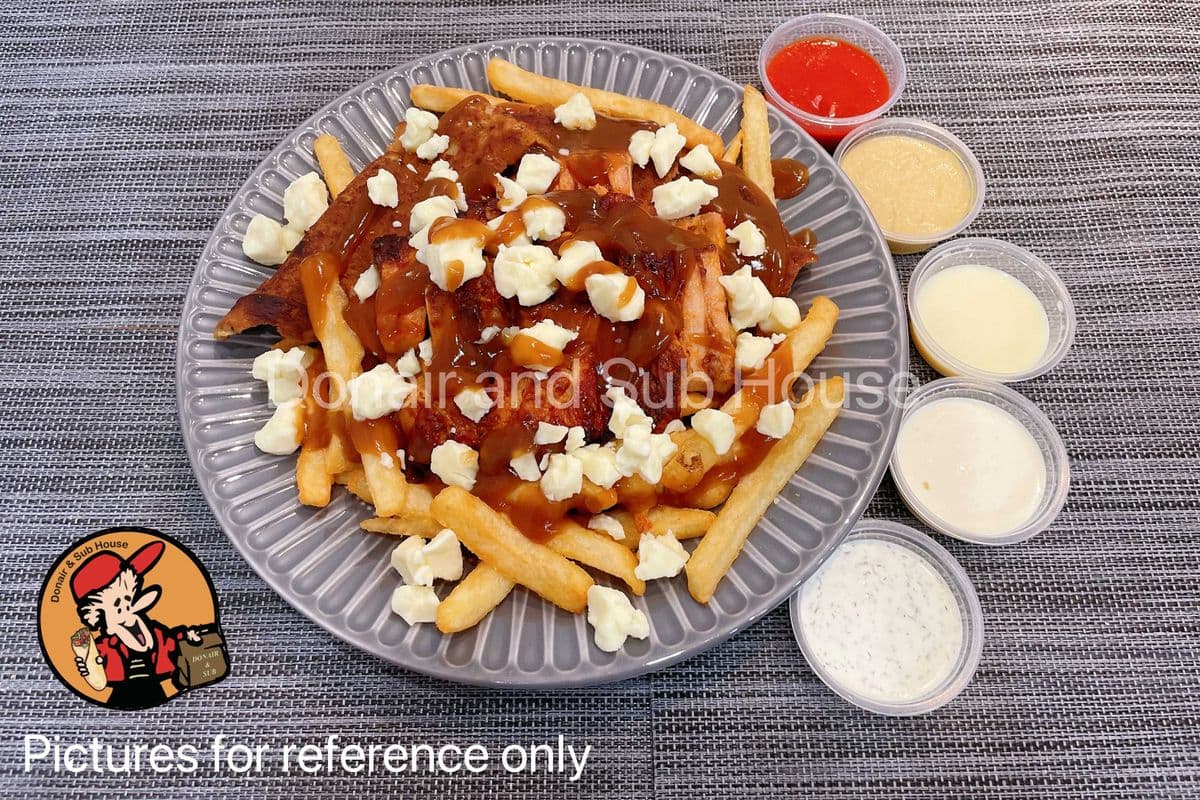 Poutine Special