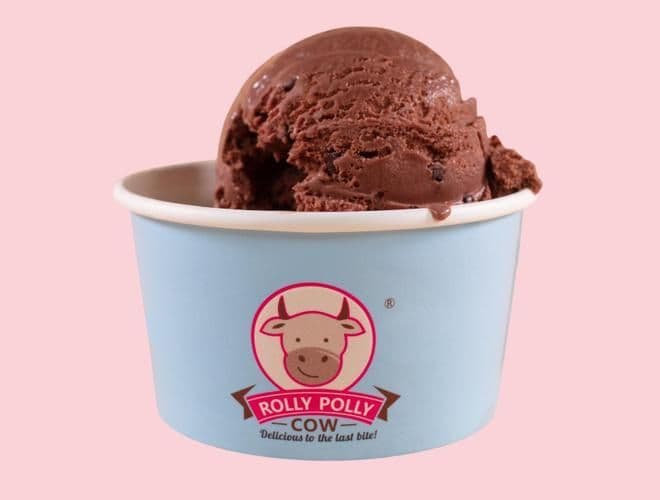 Double Chocolate Cookie Scoop