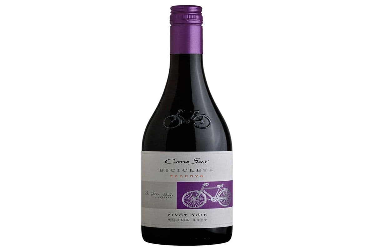 Cono Sur Pinot Noir (1 x 750 ml)