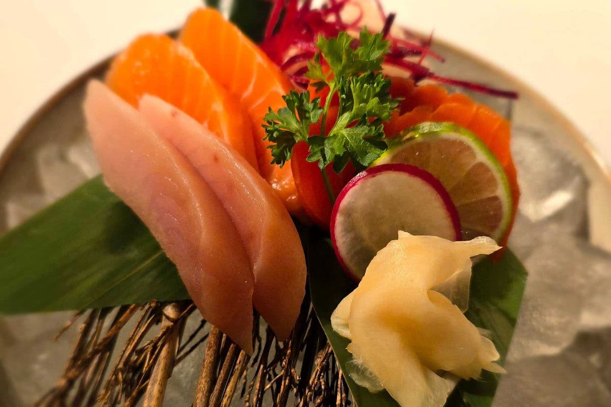 Appetizer Sashimi