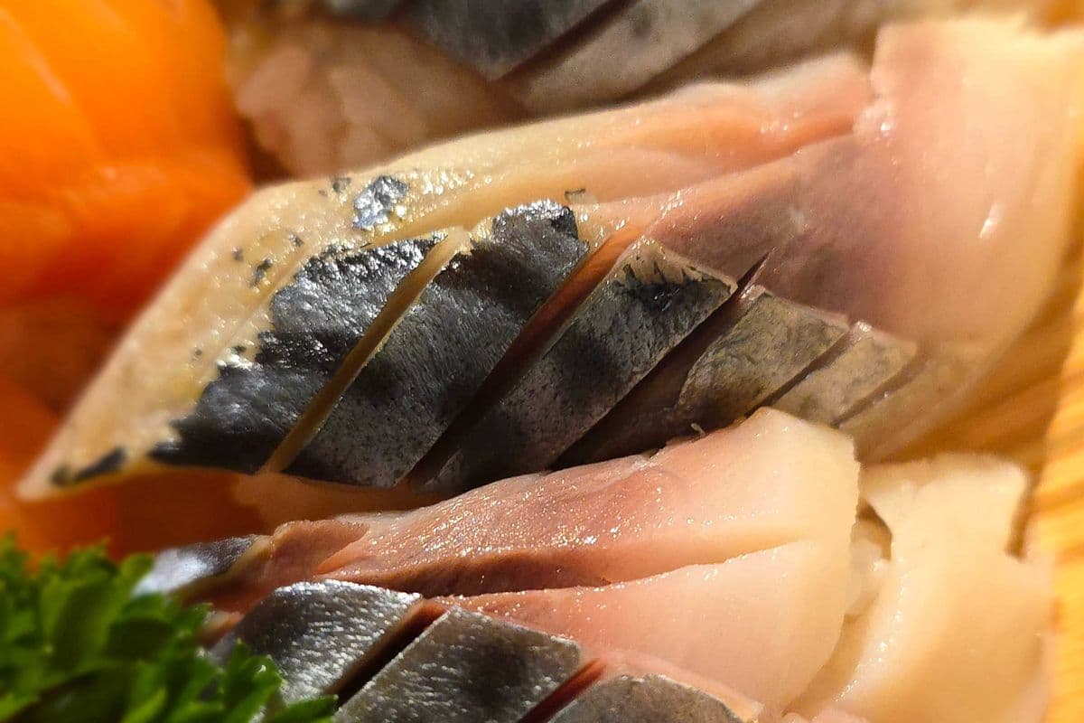 Saba Nigiri Sushi