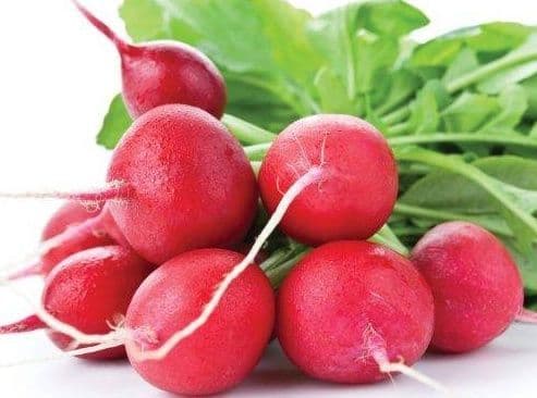 Radishes (Bunch)