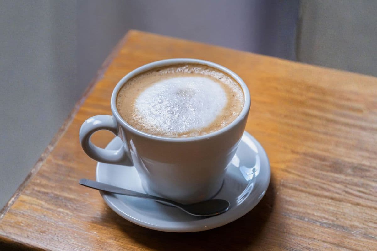 Cappuccino (16 oz)