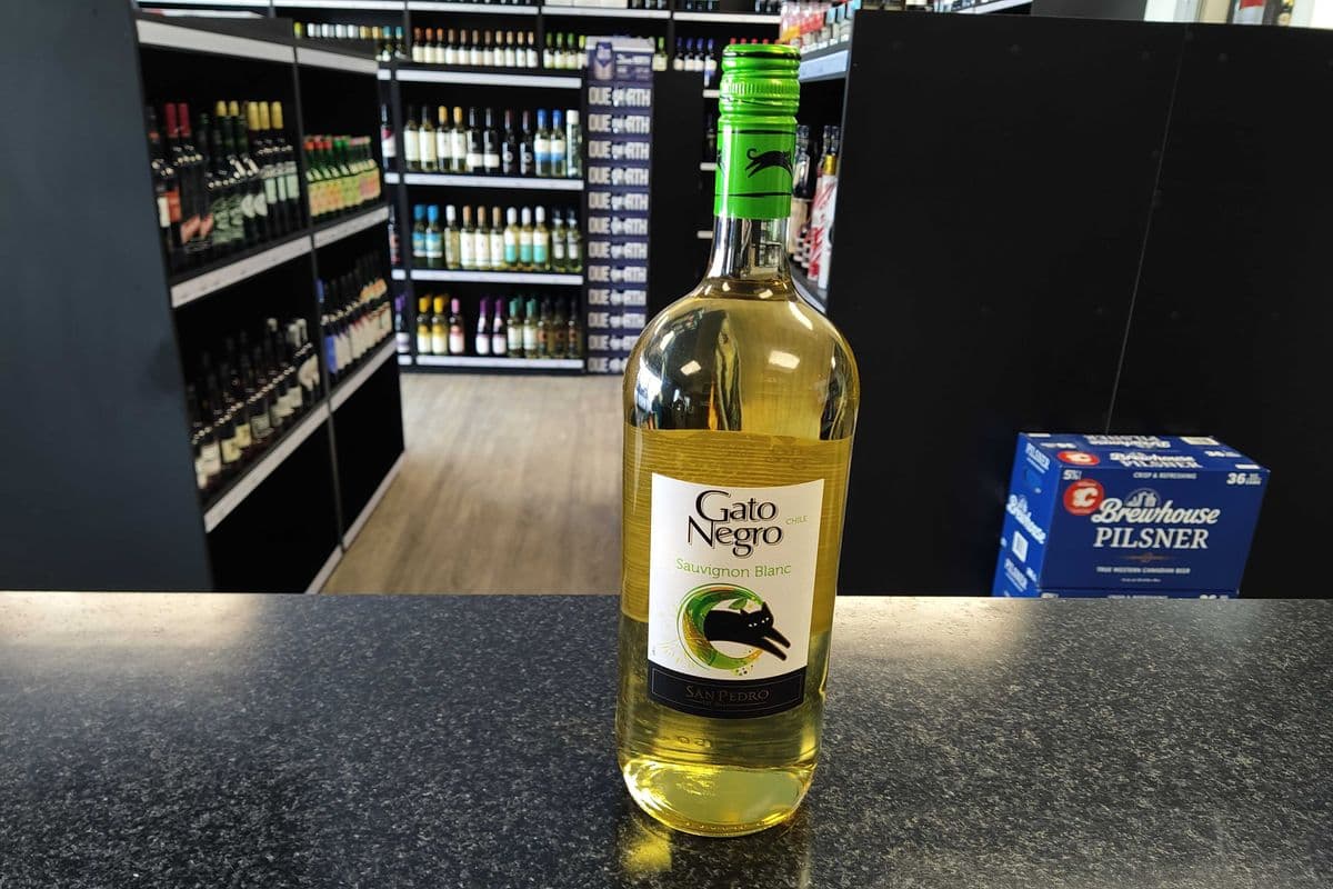 Gato Negro - Sauvignon Blanc (1 x 1.5L Bottle)