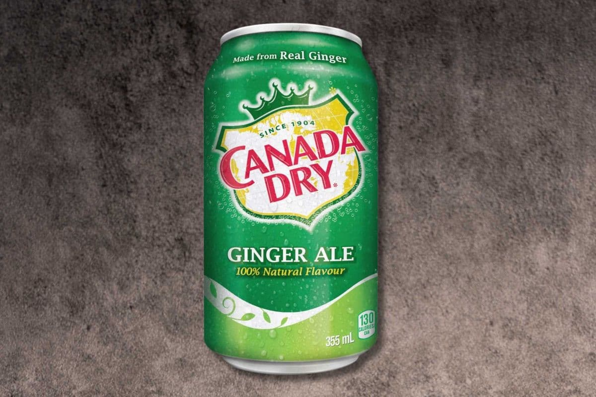 Ginger Ale Can (355 ML)