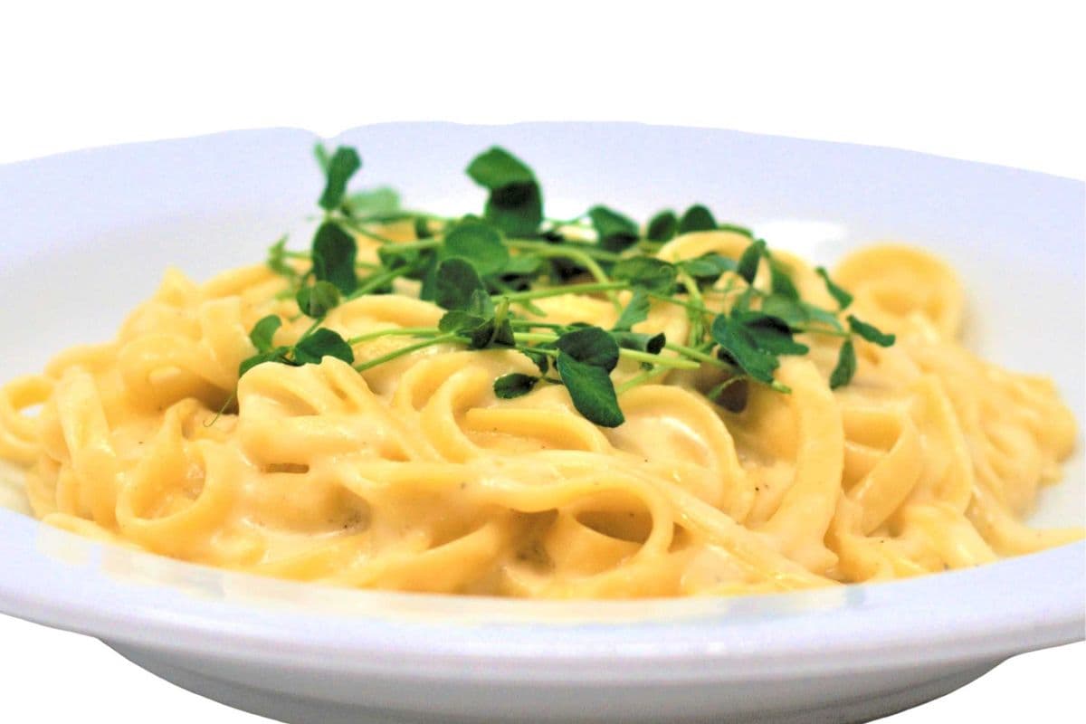 Vegetarian Fettuccine Alfredo