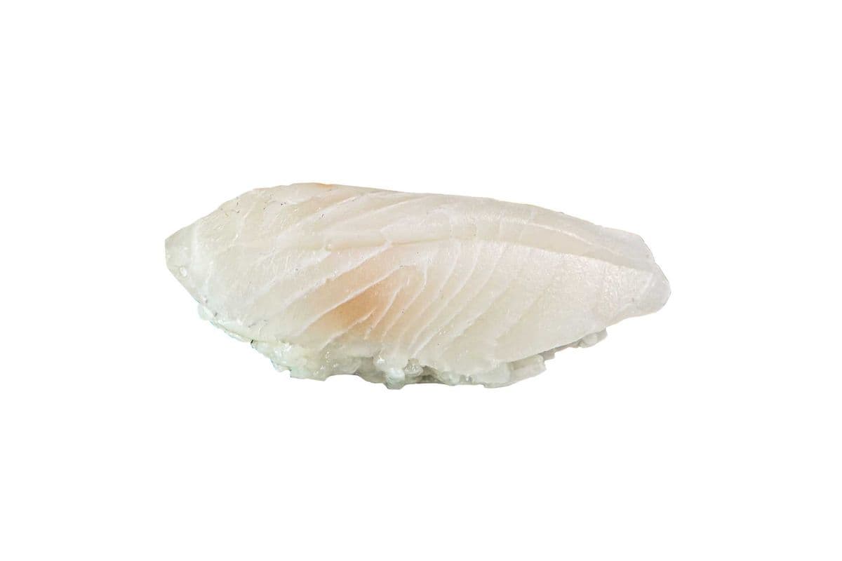 Snapper (Shromi) Nigiri (2 pcs)