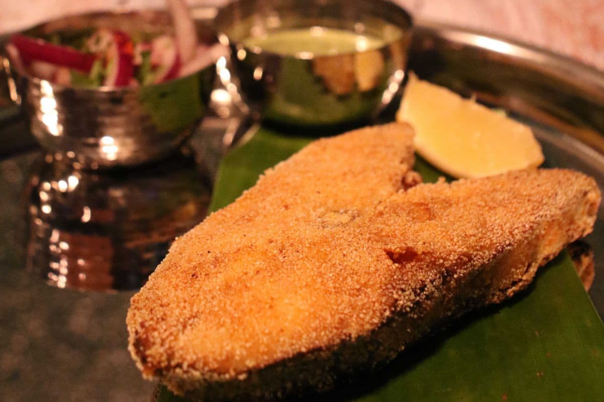 Surmai Fry